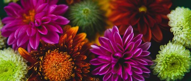 弃拉塞尔 弃拉塞尔