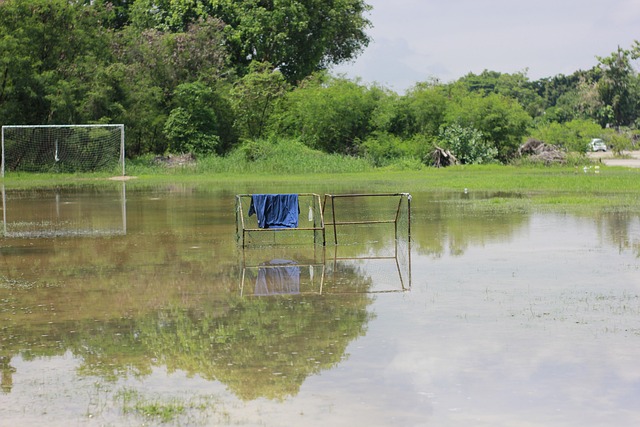 在尤文图斯 在尤文图斯