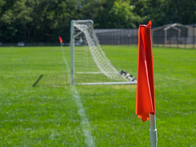 让大家看到 让大家看到