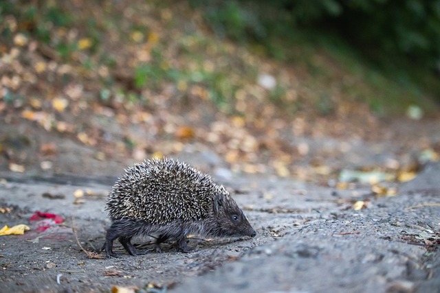 或許南珉貞 或許南珉貞