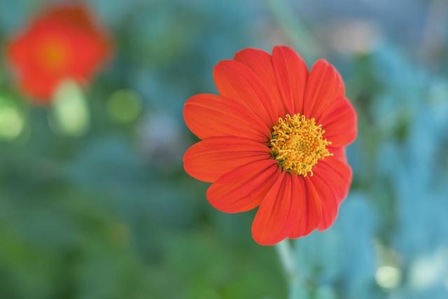 大突破!曝姆巴佩点头愿加盟切尔西 提1特殊条件.